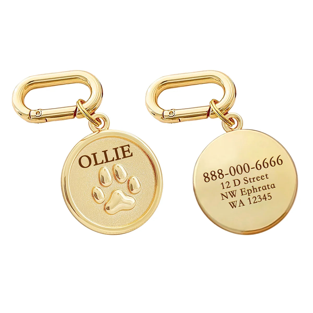 Memopaw Design Personalized Pet Dog Name Tag Copper Free Engraving Anti-lost Collars Tag for Dogs Cats Nameplate