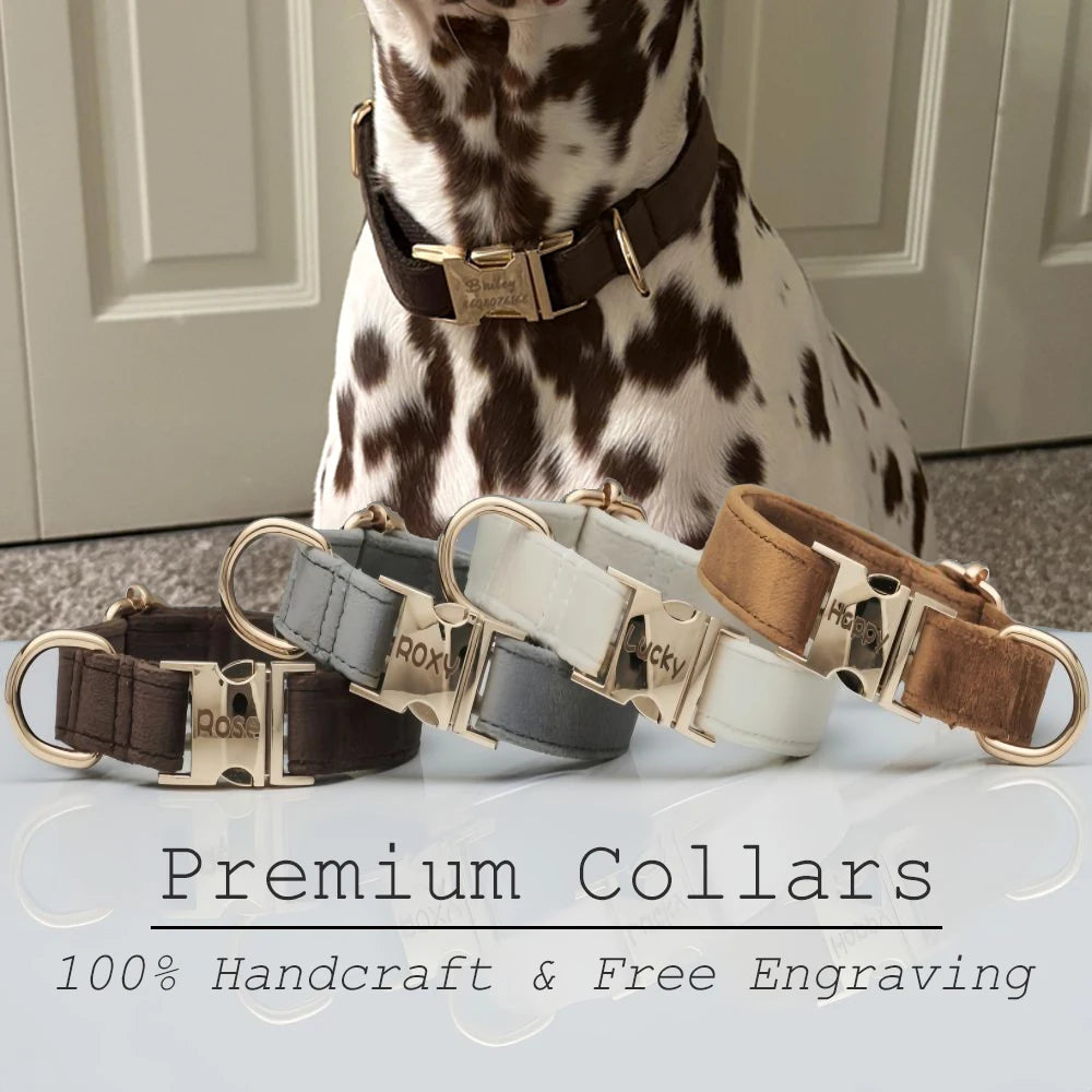 Multiple Colour Velvet Personalized Premium Dog Collar Custom Leash Engraved Pet Name Plate Metal Buckle Wedding Puppy Gift