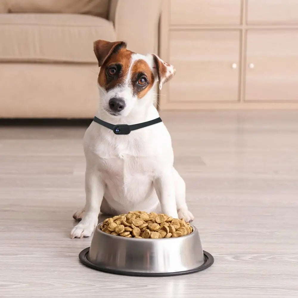 Dog Tracker Collar