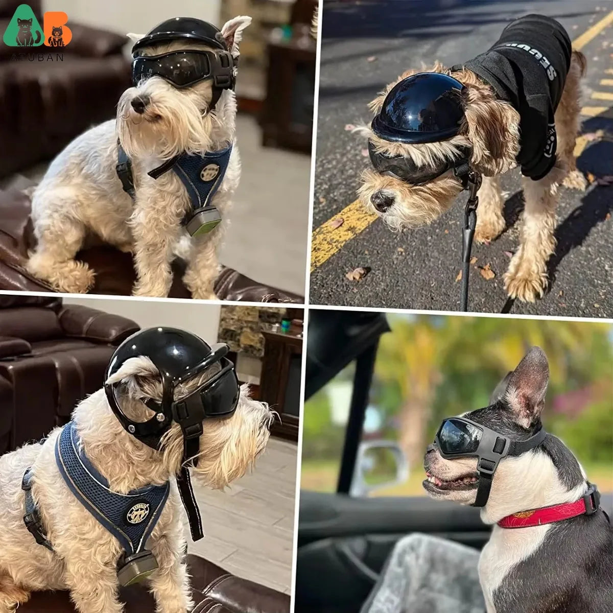 ATUBAN Dog Goggles for Small Dogs with Helmet,2pc Dog Sunglasses and Dog Helmet Set for Small Medium Dog Outdoor Driving Walking