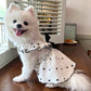 Dog Clothes for Small Dogs Pet Dog Dress Summer Puppy Clothing Thin Dog Cooling Vest Bow Heart Skirt Chihuahua Cat Dog Costume