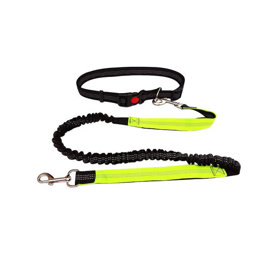 Elastic Nylon Dog Leash