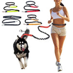 Elastic Nylon Dog Leash