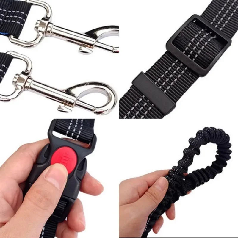 Elastic Nylon Dog Leash